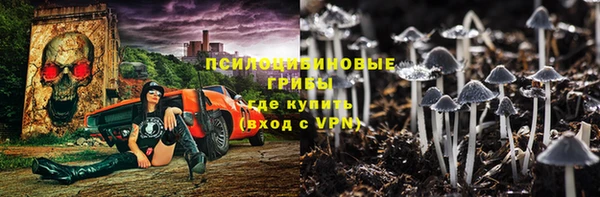 тгк Алзамай