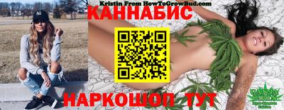сатива Краснодар