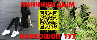 сатива Краснодар