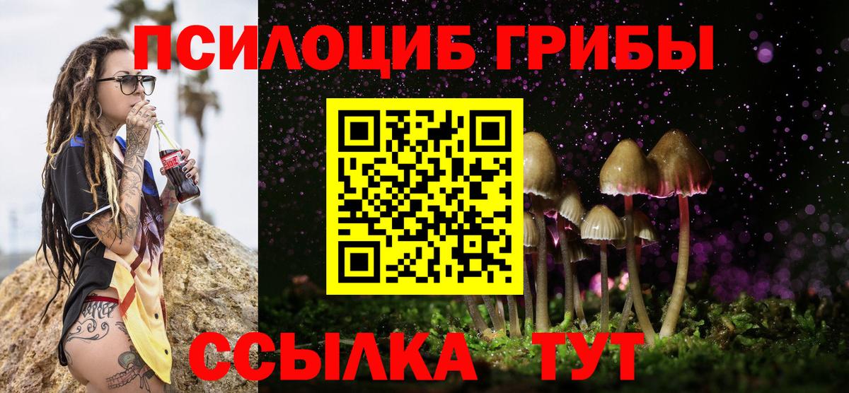 где купить   Вход с VPN  Галлюциногенные грибы Psilocybine cubensis  Глазов  Галлюциногенные грибы ЛСД 