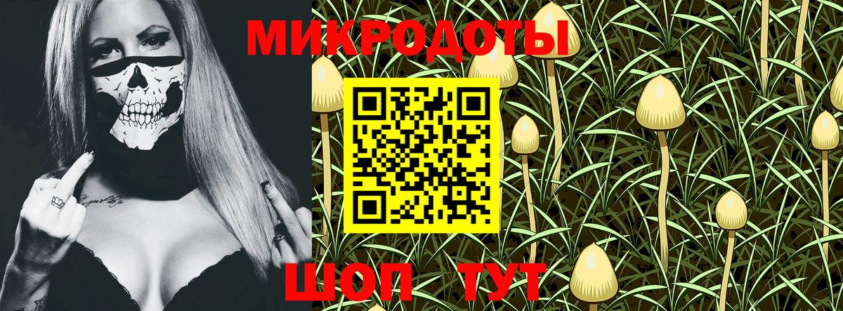 Галлюциногенные грибы Cubensis Глазов