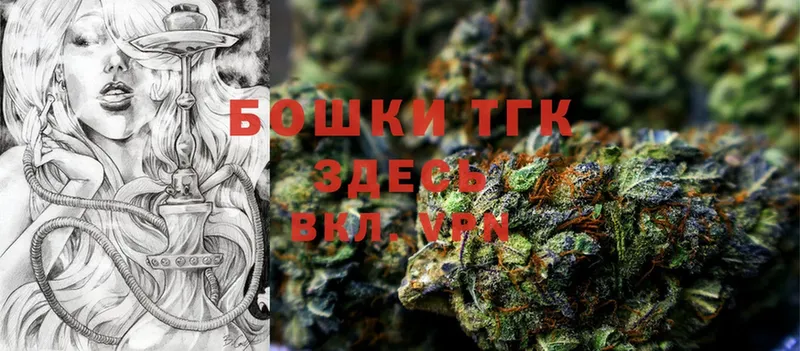 Бошки марихуана THC 21%  наркота  Глазов 